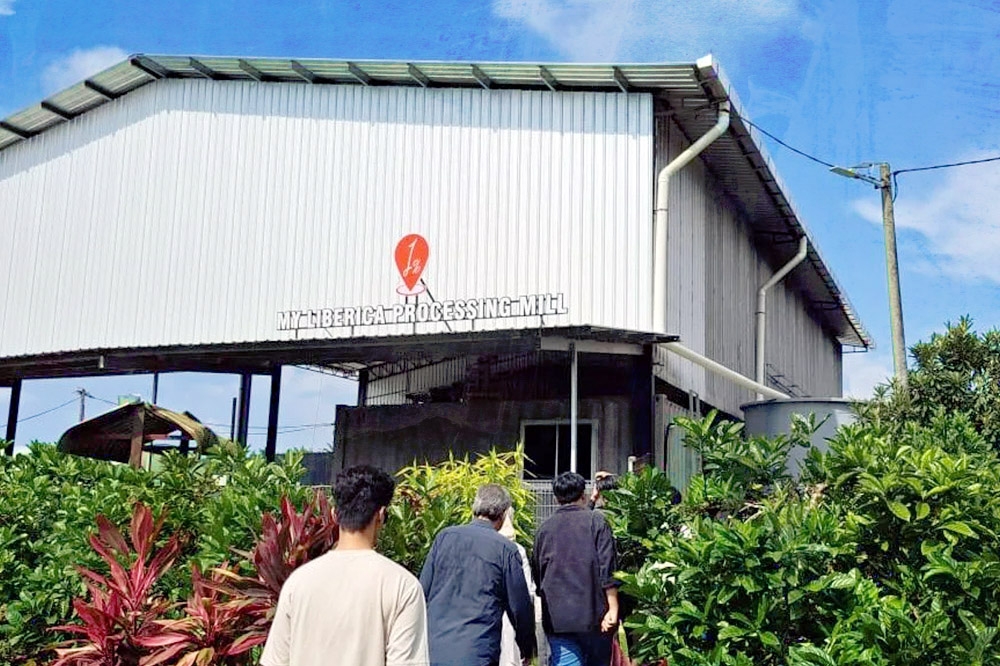 Visitors to MY LIBERICA’s processing mill. — Picture courtesy of MY LIBERICA
