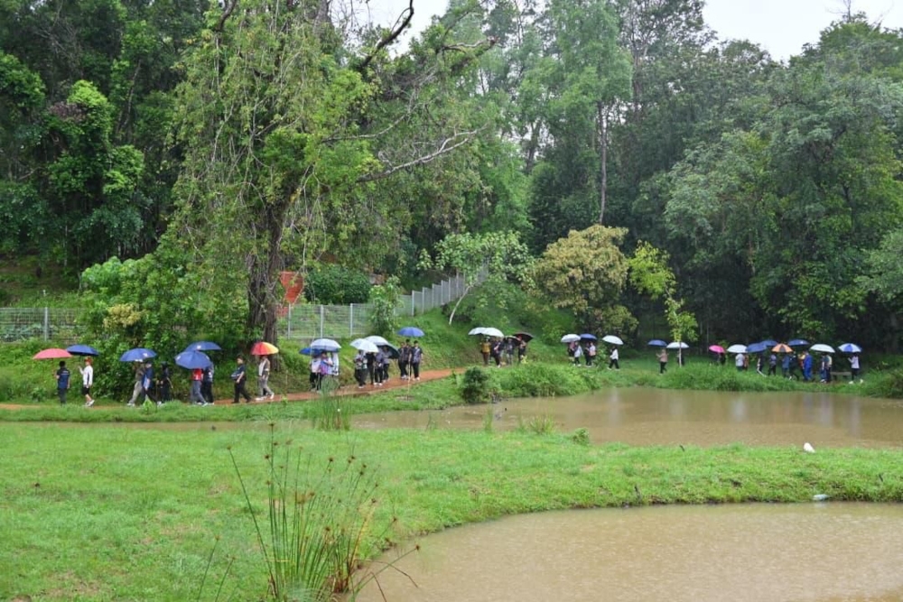 Sabah’s Tun Fuad Stephens Park makes comeback as botanic garden on Oct 27 after three-year revamp