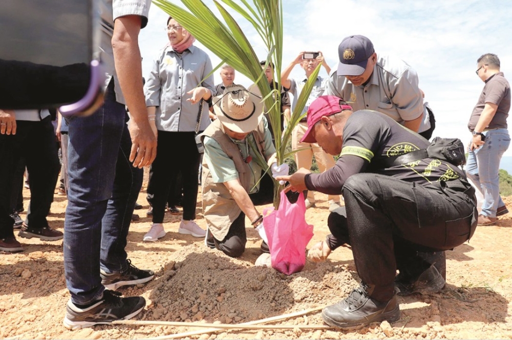 Tambunan is set to become Sabah’s largest coconut-producing area under a government-backed project to convert grazing land into high-value coconut plantations. — Daily Express pic