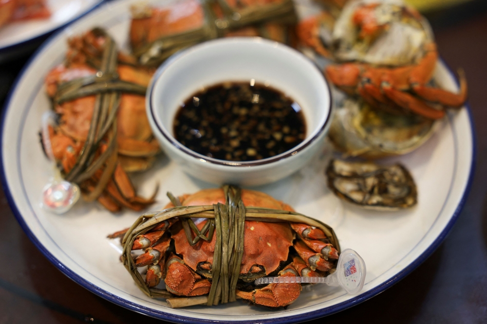 Steamed hairy crabs sit on a plate in Suzhou, Jiangsu province, China, October 21, 2025. — Reuters pic