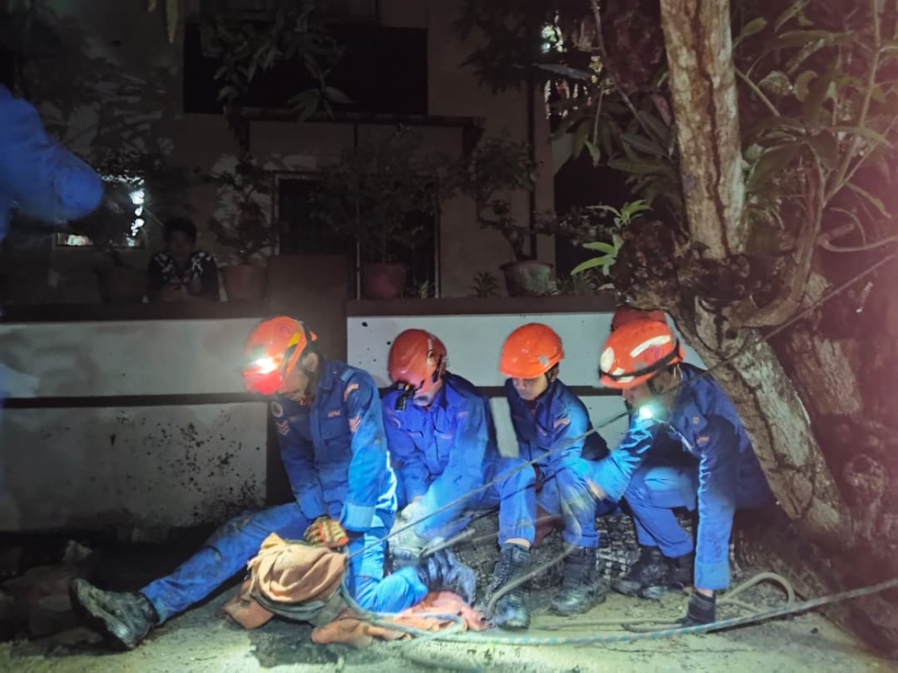 A 200kg, nine-foot crocodile was captured under a Sandakan stilt house after chasing a dog early this morning. — Daily Express pic