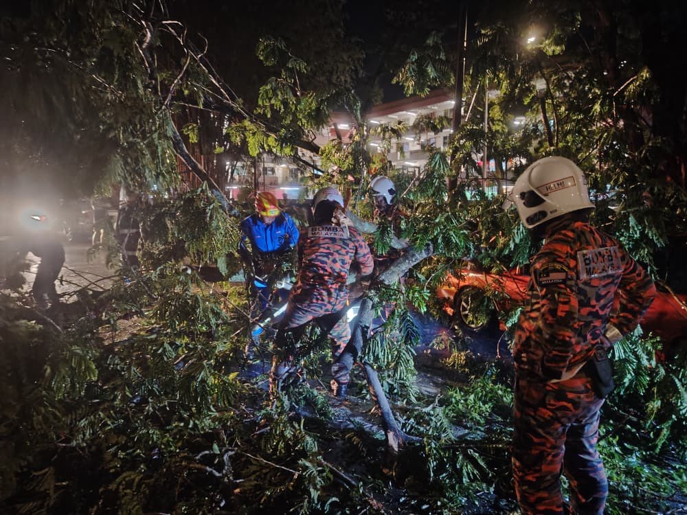 Firefighters clear debris after a fallen tree crushed two parked cars at the Taman Free School flats in George Town last night. No injuries were reported. — Bomba pic