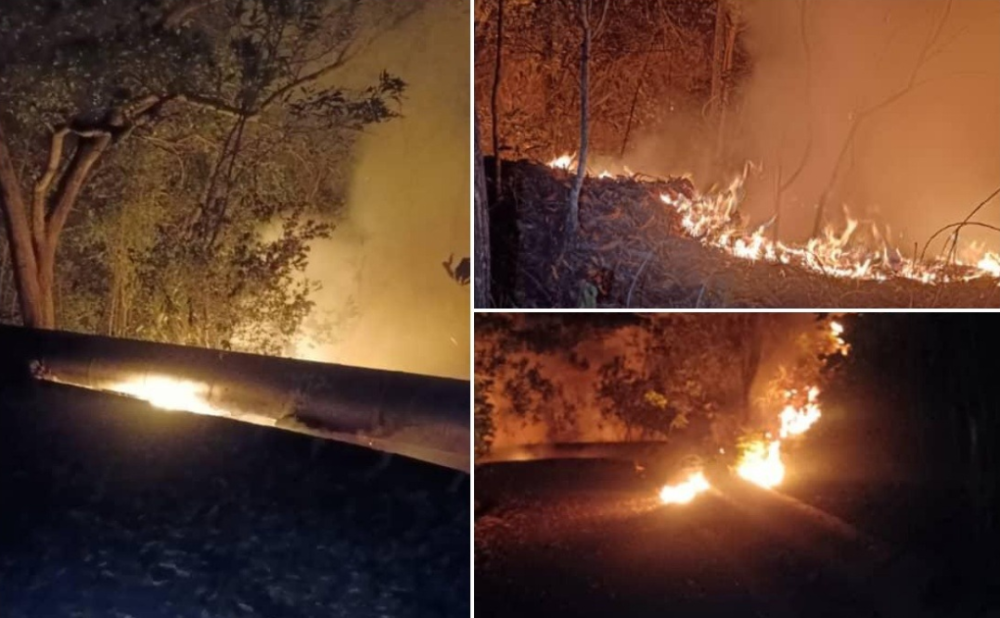 The bushfire in Salak Tinggi, which broke out yesterday afternoon, has been completely extinguished early this morning – nearly 13 hours after fire-fighting operations started. — Bernama pic/KLIA Fire and Rescue Department