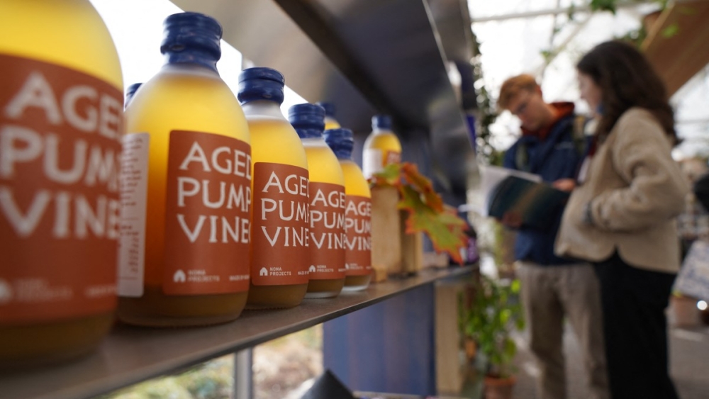 Bottles of Aged Pumpkin Vinegar stand on a shelf at noma’s new Projects Shop in Copenhagen October 23, 2025. — AFP pic