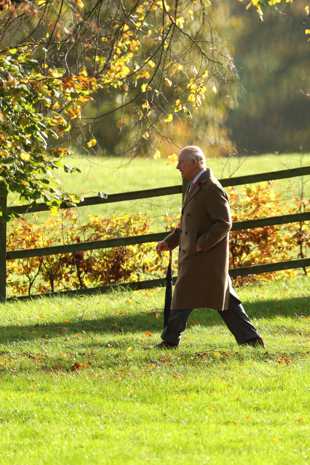 Monarchy’s future at stake: Fear for a weakened Crown drove King Charles’ ruthless move against Andrew