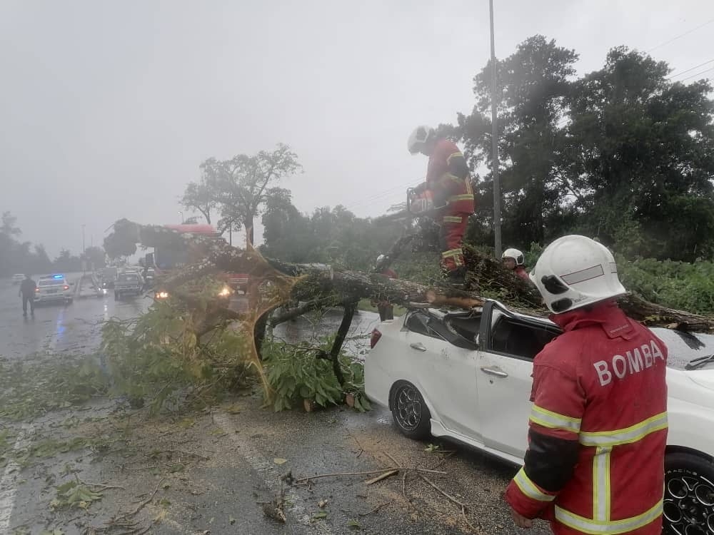 A firefighter uses a chainsaw to remove a tree that toppled onto a moving car on Jalan Sultan Tengah in Kuching, Sarawak on November 5, 2025. — Bomba photo via The Borneo Post