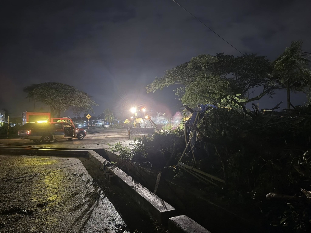 Heavy rain and strong winds caused several incidents of fallen trees in Kuantan last night. — Picture via Facebook/Nik Mohd Ridzuan Kamarudin