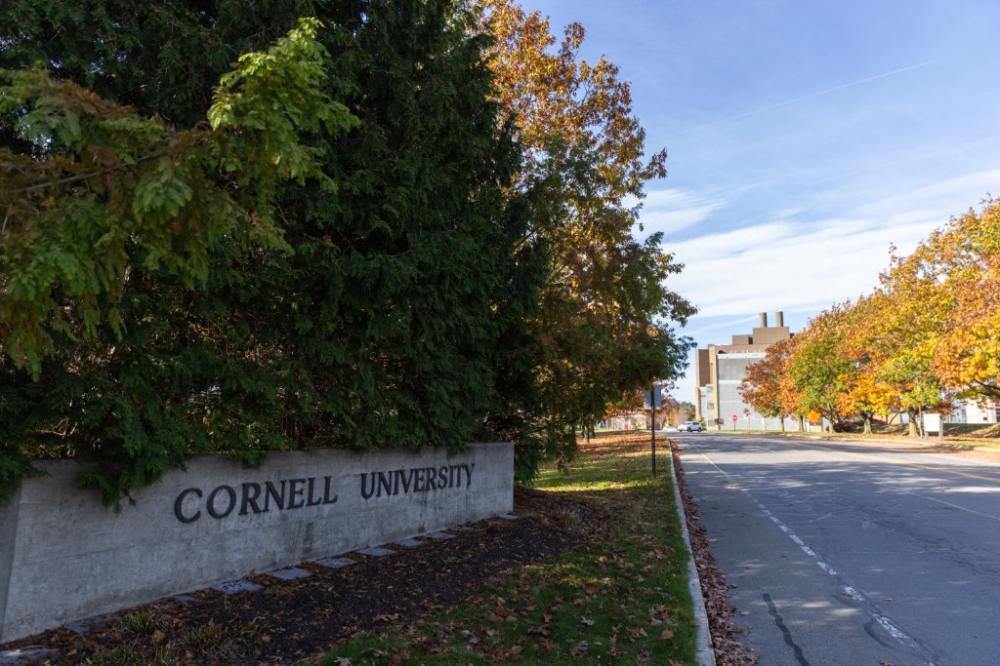 A view of one of the entrances to the Cornell University campus on November 3, 2023 in Ithaca, New York. — Matt Burkhartt/Getty Images North America/Getty Images pic via AFP