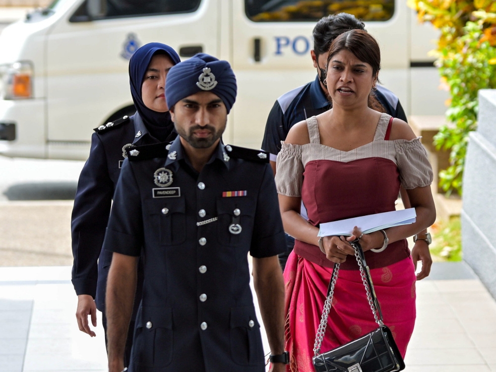 Charged again: ‘Inspector Sheila’ back in court over alleged obstruction of police work