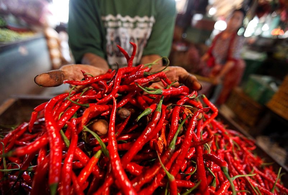 A fish pond in Changsha, Hunan province, has gone viral after its owners revealed they feed over 5,000 kilos of chilli peppers to more than 2,000 fish daily. — Reuters pic