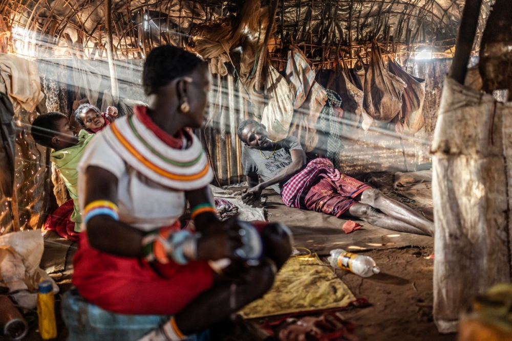 In drought-stricken Kenya, camels replace cattle as lifeline for Samburu herders