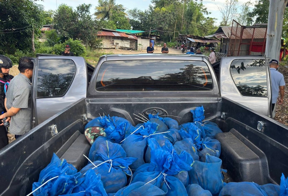This handout photo taken by the 12th Ranger Forces Regiment of the Royal Thai Army on November 14, 2025 and released on November 15 shows seized macaque monkeys in blue mesh bags after being rescued from a wildlife smuggling operation in Aranyaprathet district in Sa Kaeo province near the Thailand-Cambodia border. — 12th Ranger Forces Regiment of the Royal Thai Army handout pic via AFP