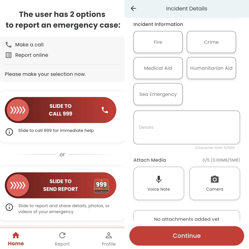 Upon logging in, users are presented with two convenient options — but are they really that convenient? — Picture by Kenneth Tee