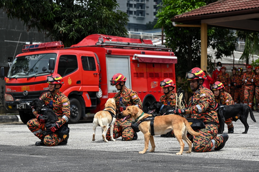 Sniffer dogs from the Malaysian Fire and Rescue Department’s (JBPM) K9 Unit at the Housing and Local Government Ministry (KPKT) Sentuhan Kejayaan event, held at the Taman Sri Sentosa K9 Operations Centre on Jalan Klang Lama, Kuala Lumpur, November 17, 2025. — Bernama pic