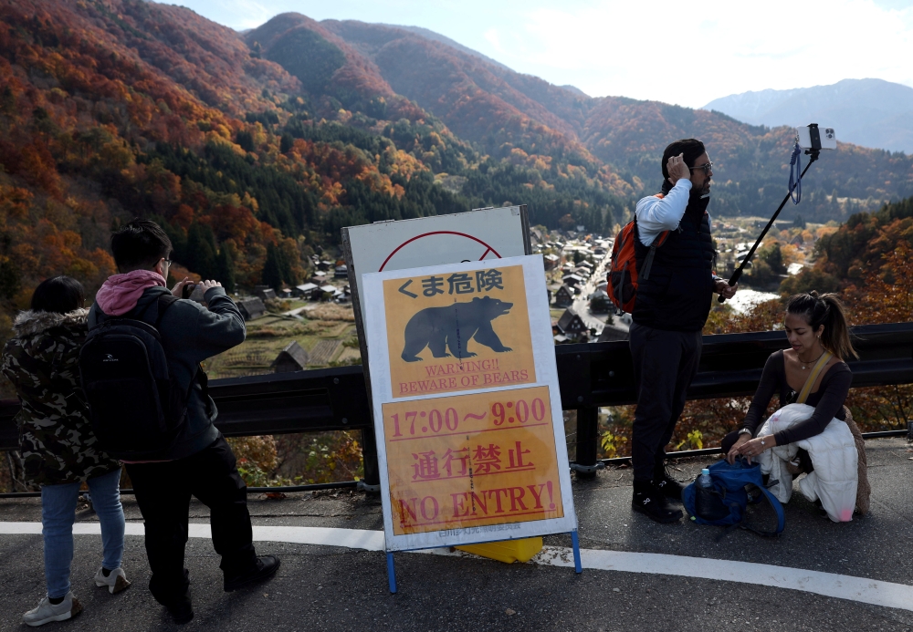 Visitors take souvenir photos next to a bear warning sign at Shirakawa-go, a popular tourist spot and one of Japan’s Unesco World Heritage sites, in Shirakawa village, Gifu Prefecture, November 15, 2025. — Reuters pic