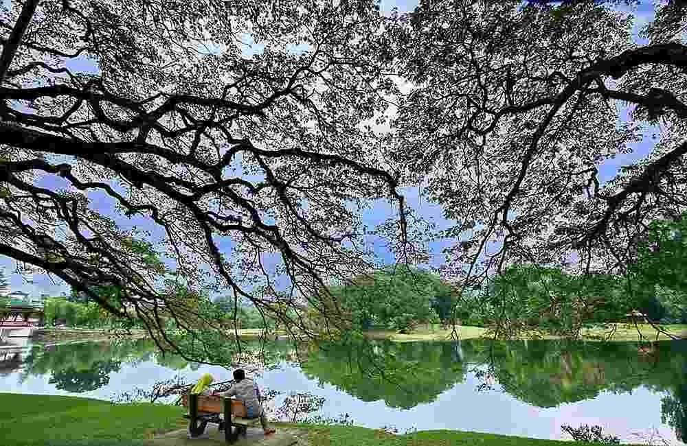 The people who give Taiping its soul — a city that remembers, listens, and loves. — Picture from Facebook/ Majlis Perbandaran Taiping