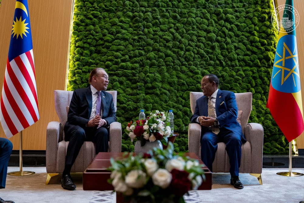 Prime Minister Datuk Seri Anwar Ibrahim and Ethiopian President Taye Atske-Selassie Amde during a meeting in Addis Ababa, the capital of Ethiopia, November 19, 2025. — Picture from X/Anwar Ibrahim 