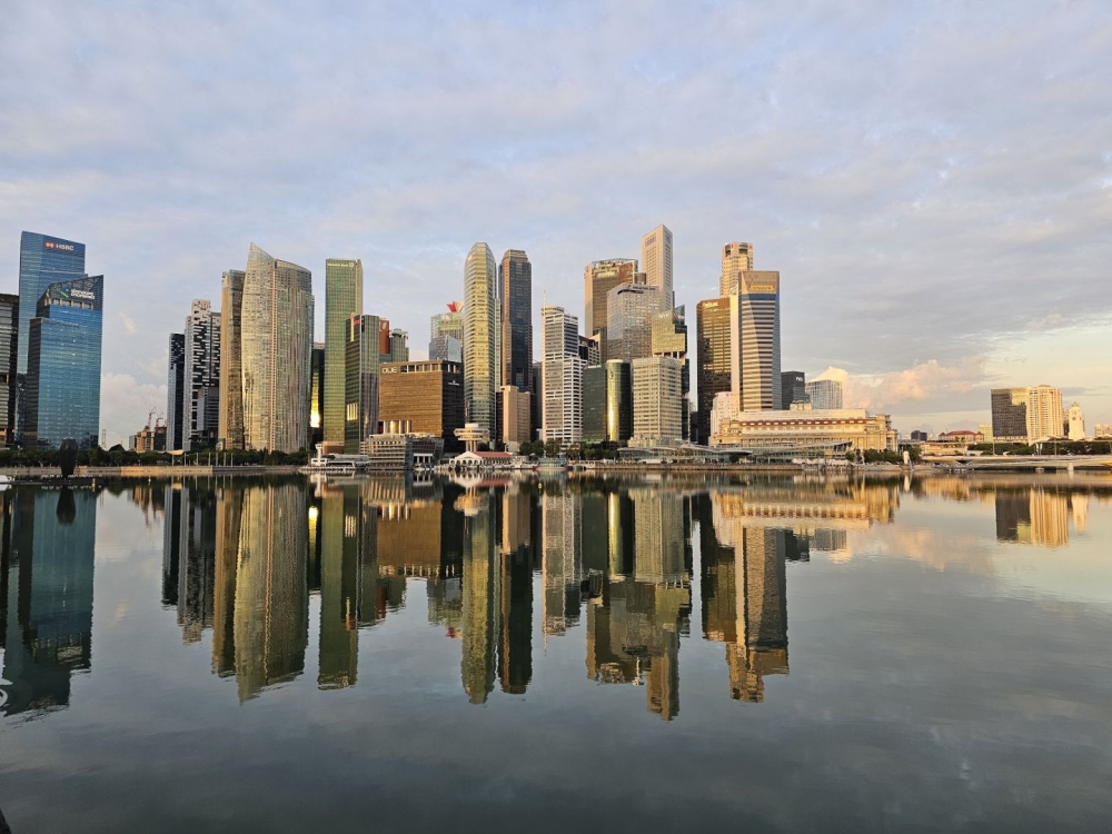 Wealthy locals dominate Singapore’s luxury property market as foreign buyers retreat