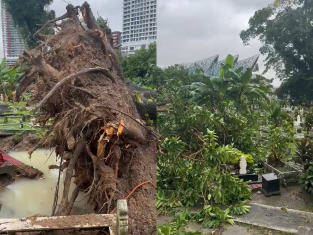 A combination photo shows an uprooted tree and damaged graves at the Jalan Ampang Muslim Cemetery in Kuala Lumpur. 