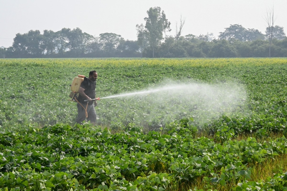 Turkiye media: Insecticide believed behind deaths of tourist family in Istanbul