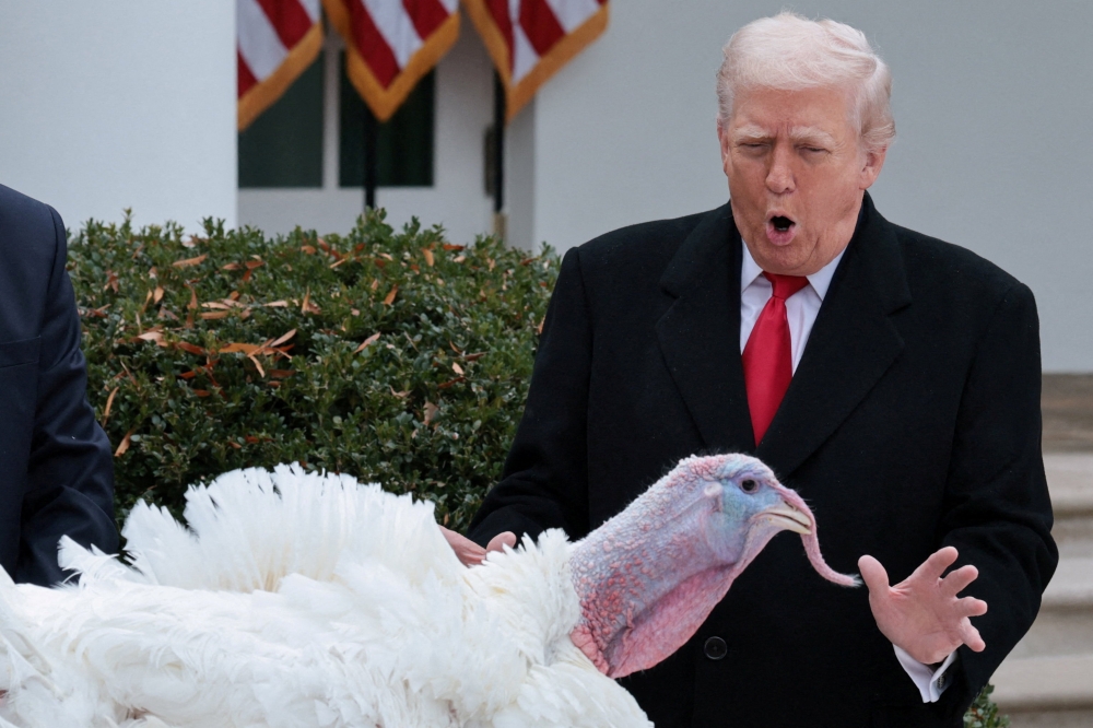 US President Donald Trump looks at Gobble, one of two turkeys to be ceremonially pardoned for Thanksgiving, in the Rose Garden at the White House in Washington November 25, 2025. — Reuters pic