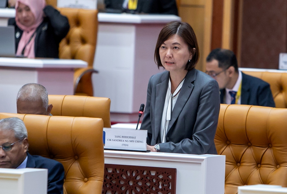 State Housing and Local Government Committee chairman Sandrea Ng Shy Ching said the registration regularisation process under the Perak Hotel Enactment for hotels had officially ended on June 30 this year. — Bernama pic
