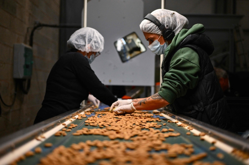 ‘Taste the difference’: French almond makers revive traditions to counter US dominance