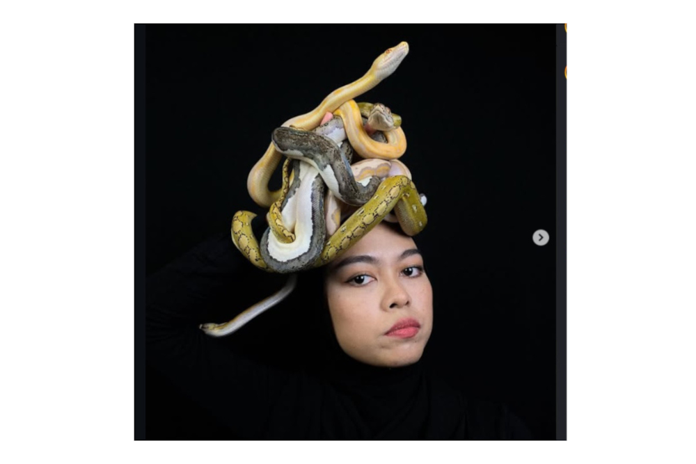 Nur Nina Farisha Woo Abdullah and Mohamad Zulaiman Din, both 28, were charged with jointly keeping three Green Tree Pythons (Morelia viridis), a Carpet Python (Morelia spilota), a reticulated python (Python reticulatus), an iguana (Iguana iguana) and a Sulcata tortoise (Centrochelys sulcata) without a licence. — Picture from Instagram/Nina Grace 