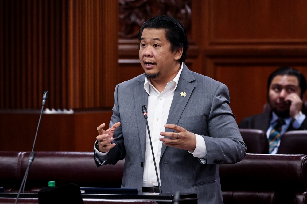 Influenza self-test kits still unapproved as MDA cites accuracy concerns, says deputy health minister