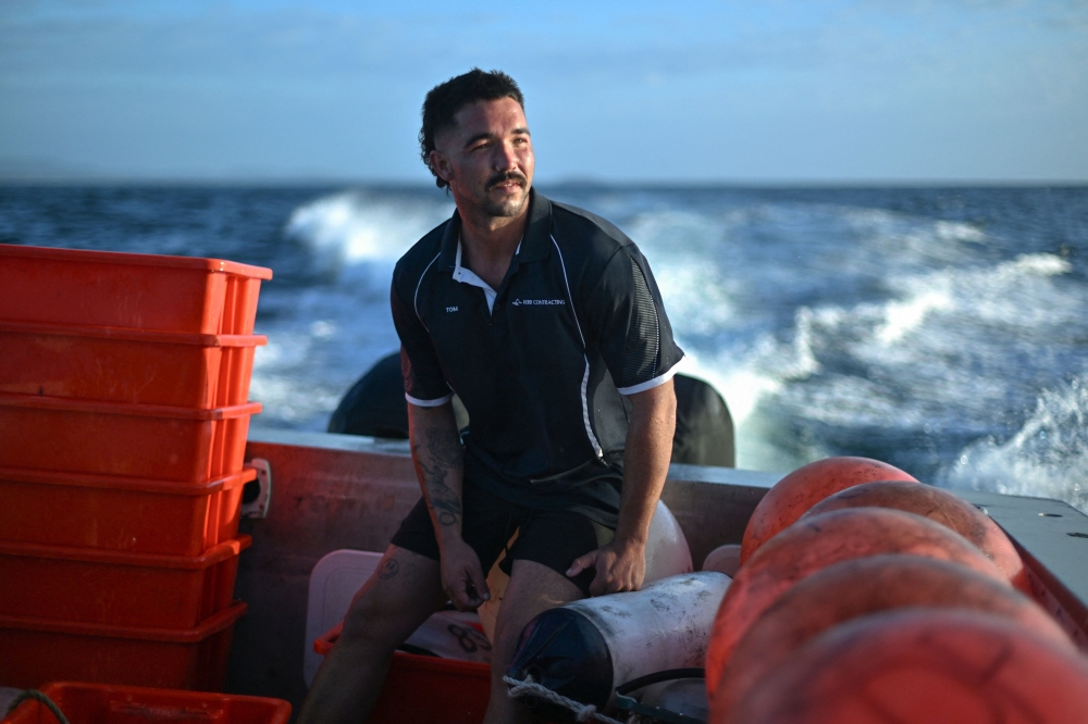 Racing towards great white sharks: Australia’s team tags predators to protect swimmers