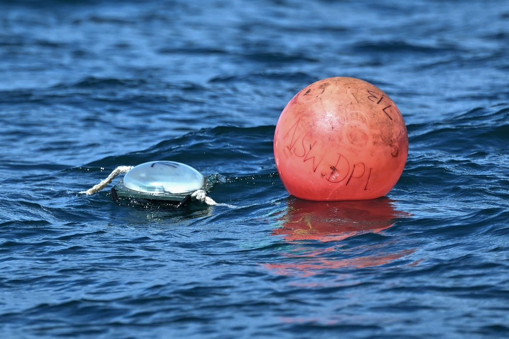 This picture taken on November 10, 2025 shows a smart drumline floating along the coastline near Coffs Harbour, New South Wales. — AFP pic 