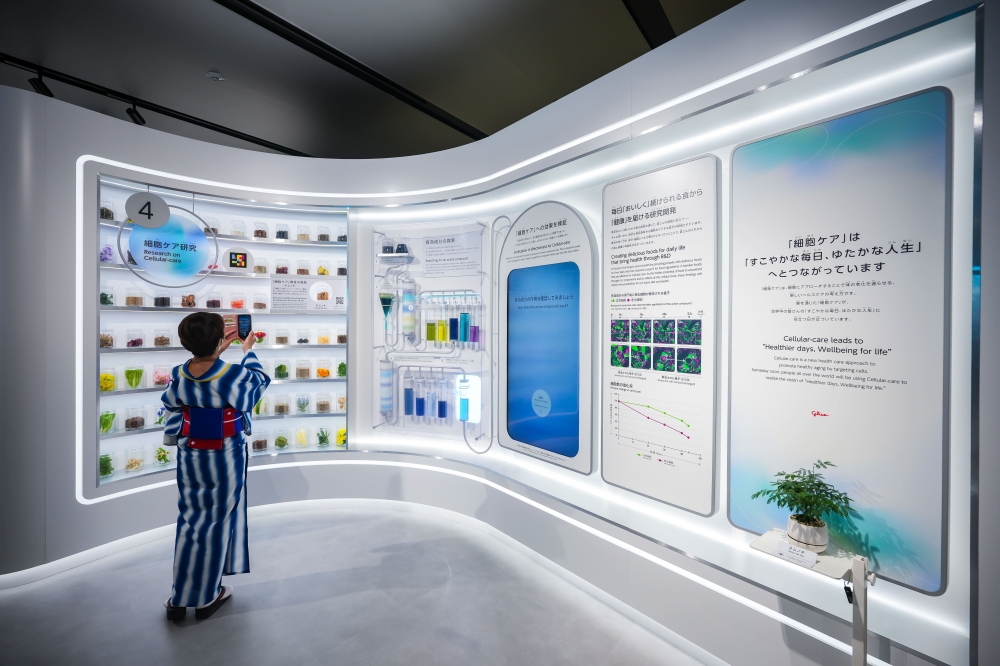 Glico R&D found that Persian silk trees are effective in removing senescent cells. – Picture courtesy of Ezaki Glico Co., Ltd.