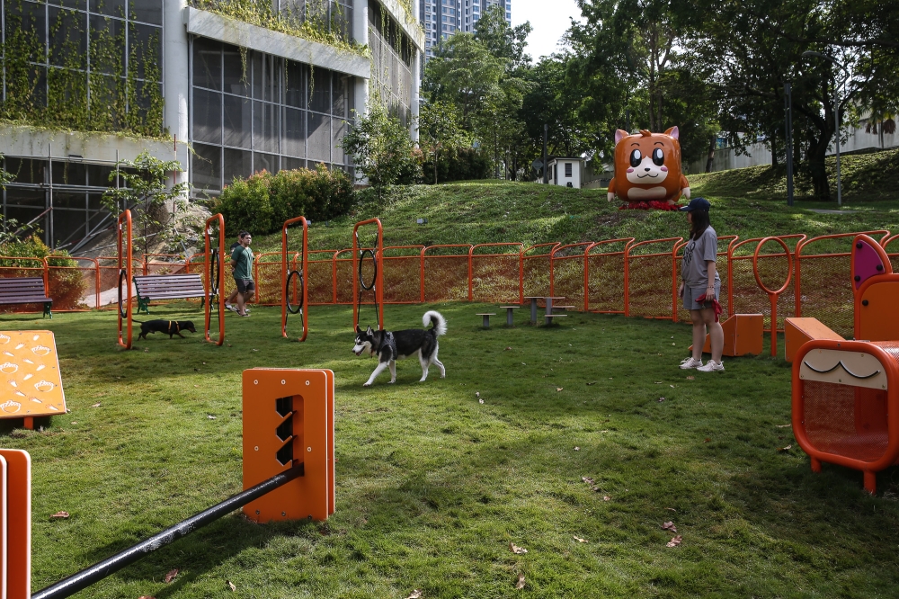 The Squarrel Pet Playground, a designated space for pets to walk and play, at Sunway South Quay Lake. — Picture by Yusof Mat Isa