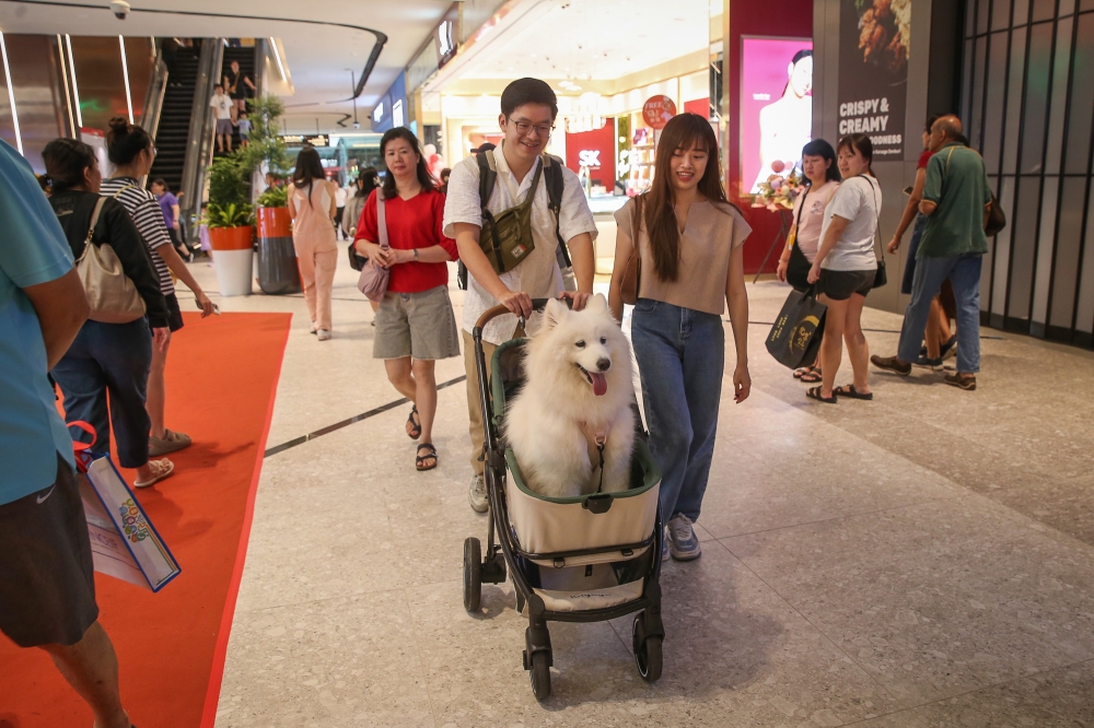A couple visit Sunway Square Mall with their dog riding in a stroller. — Picture by Yusof Mat Isa