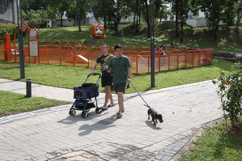 Pet owners soak in the outdoors with their furry companions at Sunway South Quay Lake. — Photo by Yusof Mat Isa 