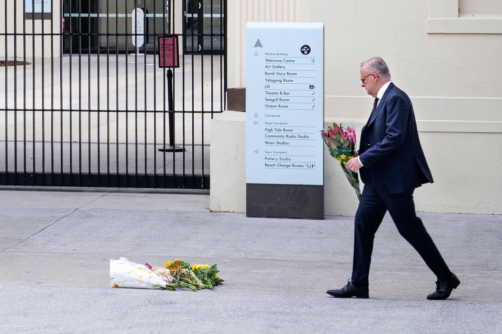 ‘Licences should not be in perpetuity’: Australian PM Albanese pledges even tougher gun laws after Bondi Beach massacre