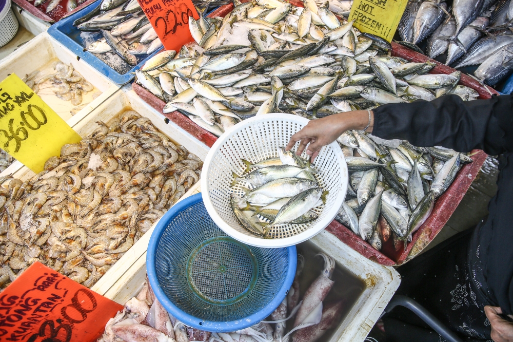 Why are fish prices so high in Malaysia? LKIM claims wholesalers are hoarding, manipulating market