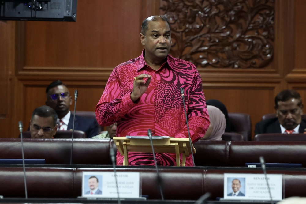 Ramanan flags gig council, HR policy as top priorities to boost employment ecosystem