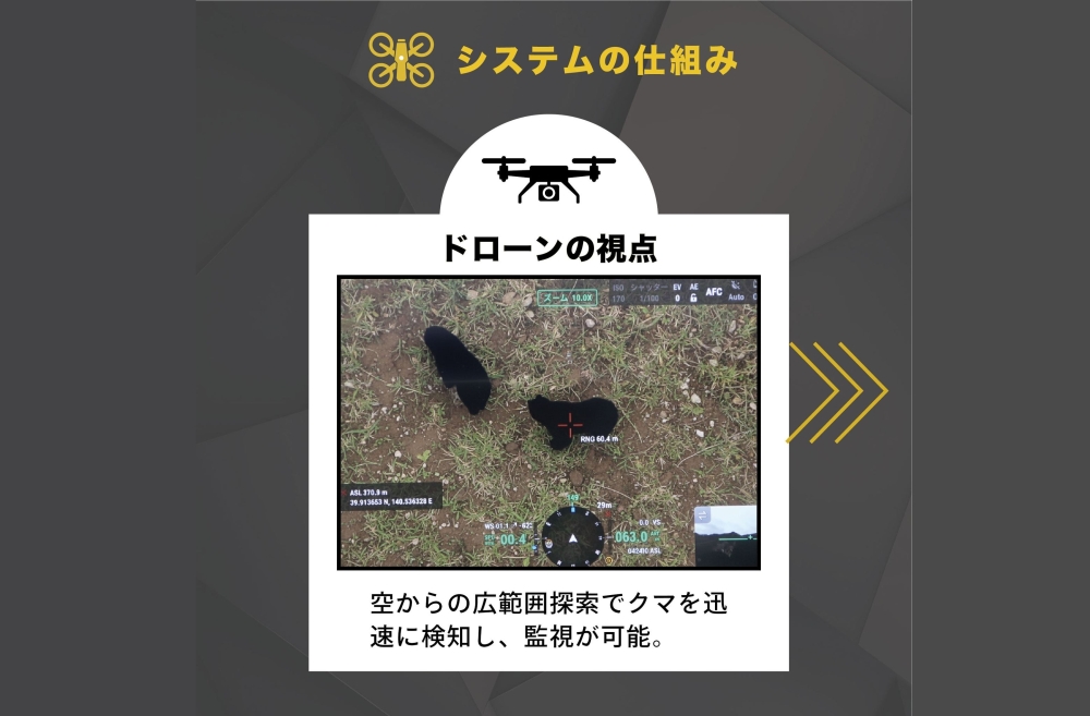 Bearly hidden: Japan’s drone school pioneers AI eyes to spot and track elusive bears from above