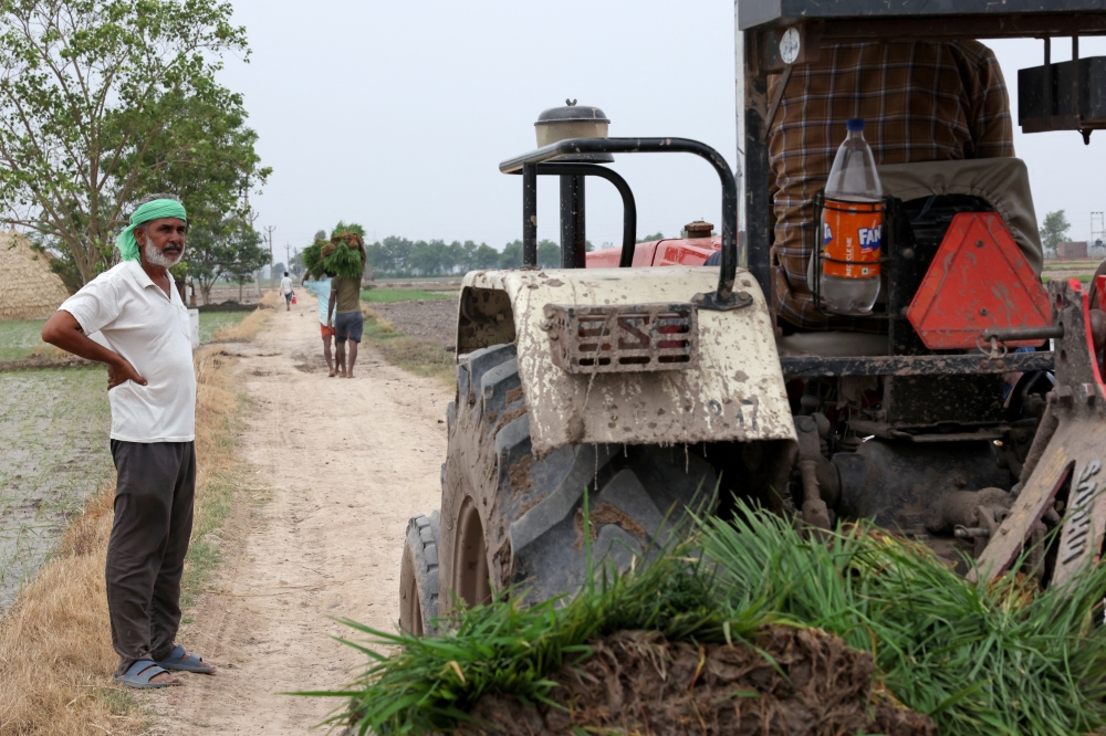 Balkar Singh, 50, a farmer from Gaggarpur village, instructs labourers sowing rice saplings in his field in Kaithal in the northern state of Haryana, India, June 21, 2025. — Reuters pic