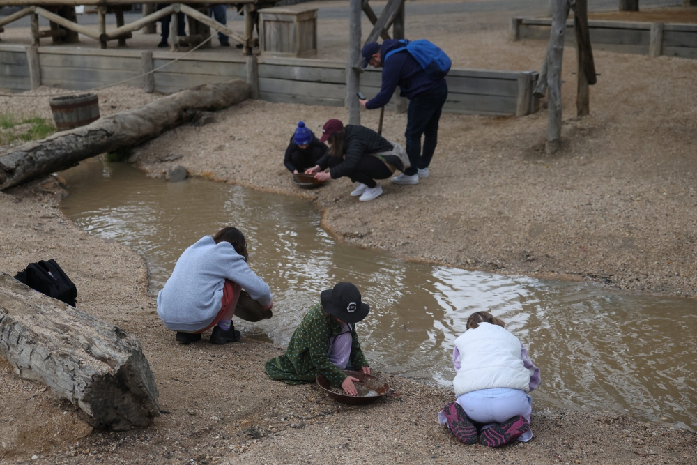 Kids pan for gold at Sovereign Hill living museum in Ballarat, Australia, November 30, 2025. — Reuters pic