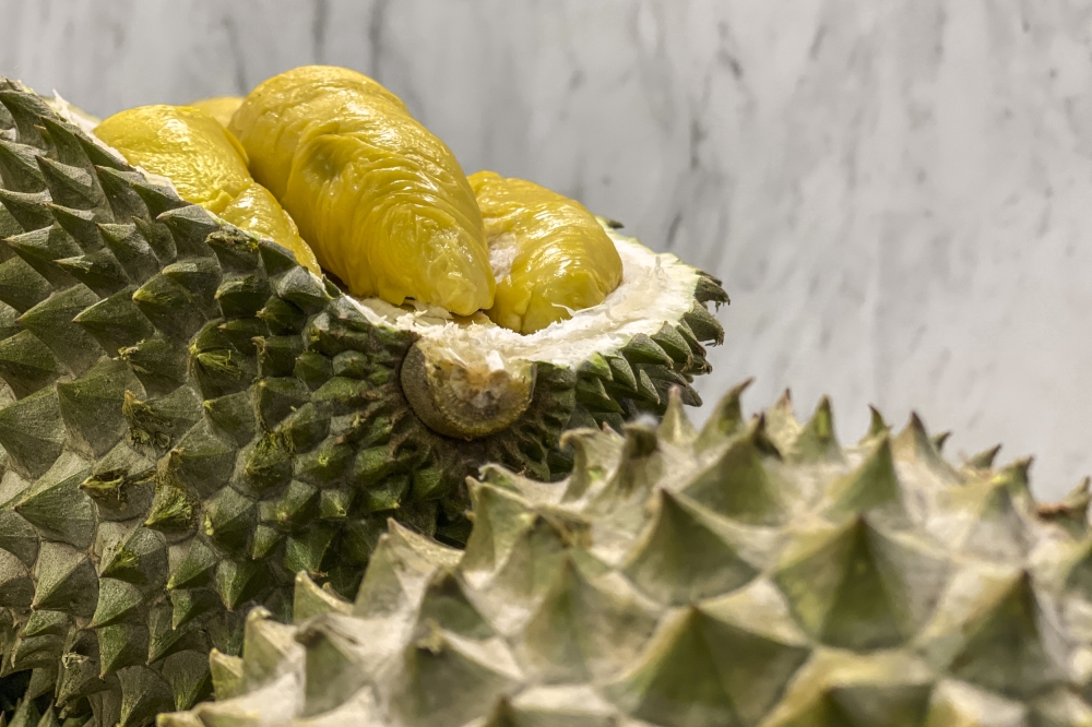 Durian sales in Singapore have surged after a bumper harvest of Musang King in Malaysia pushed prices to record lows. — Picture by Hari Anggara