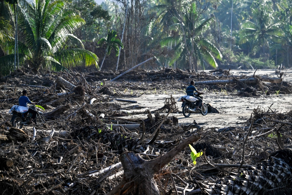 Motorists ride past uprooted trees in the aftermath flash floods that destroyed adjacent villages at Bireuen district in Aceh province on January 5, 2026. — AFP pic