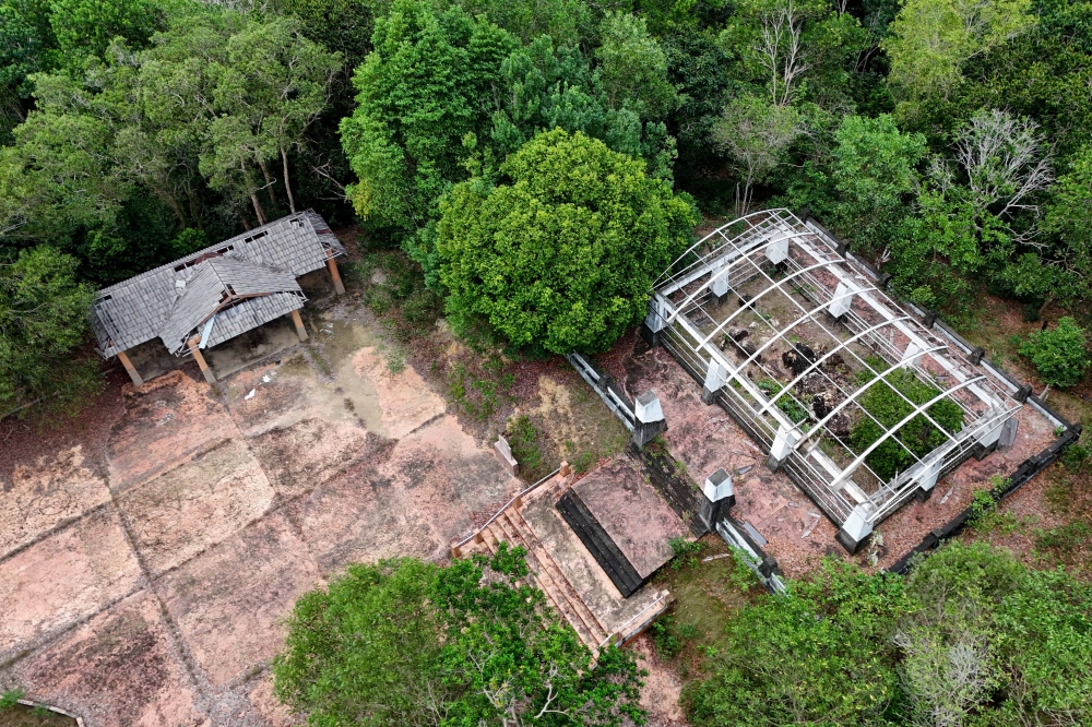 Overgrown vegetation and a damaged access road have made visits to the turtle stone increasingly rare, according to members of the Malaysian Historical Society’s Dungun branch. — Bernama pic