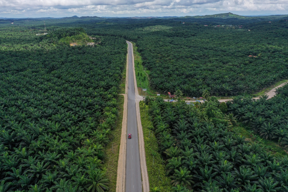 The district also plays an important role in contributing to Sabah’s economic development, especially through oil palm plantations and the tourism sector. — Bernama pic