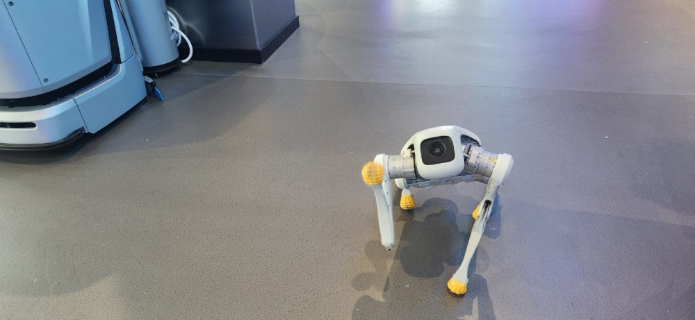 Meet Miki, one of the four-legged bots awaiting visitors at the centre. — Picture by Arif Zikri