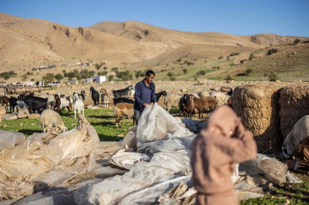 Pastoral colonialism: Israeli settler violence forces West Bank Bedouins off their land