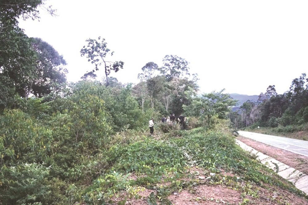 A view of the location where the body of a foreigner was found in Tongod. — Daily Express pic