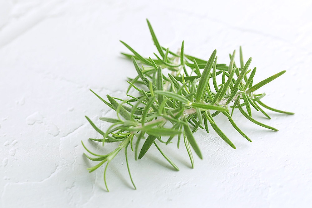 Sprigs of fresh rosemary. — Picture by CK Lim