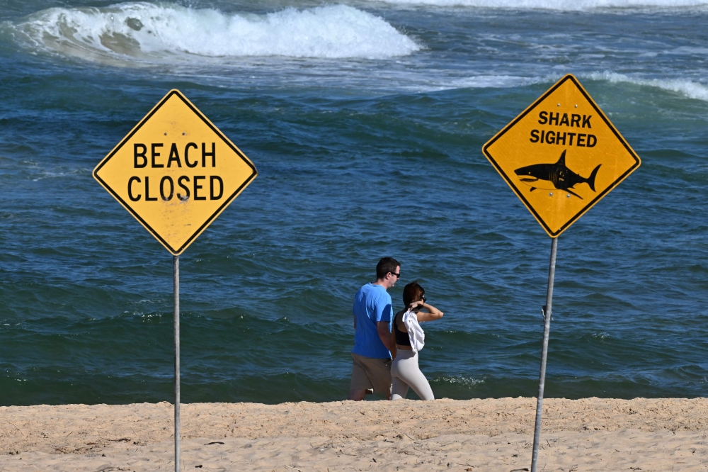 The shark bit the boy, believed to be about 13 years old, during the late afternoon off Shark Beach, New South Wales state police said.— AFP pic